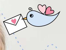 Pregnancy Pocket Guide